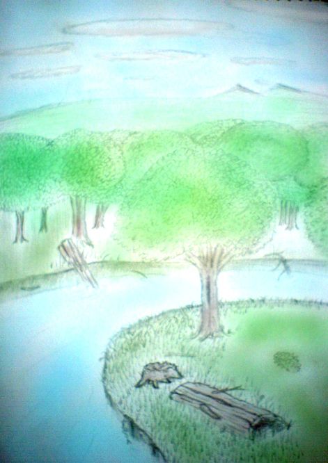 dsc00050.jpg