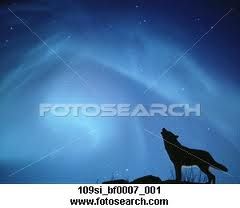 fotoka.jpg
