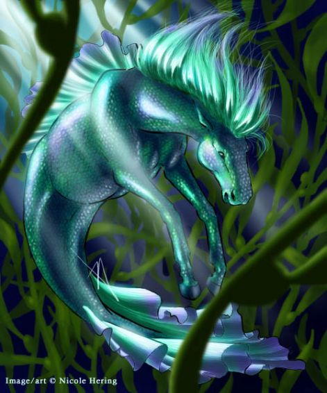 nhseahorse01.jpg