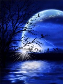 night_fantasy.jpg