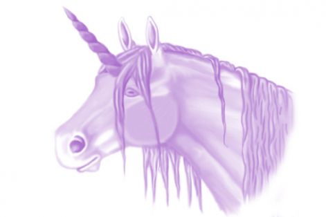 purple_unicorn.jpg
