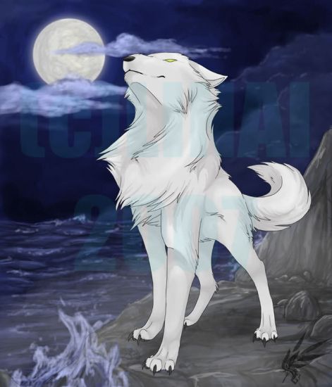 white_wolf___take_4_by_linai.jpg