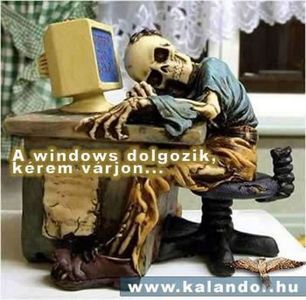 windows.jpg